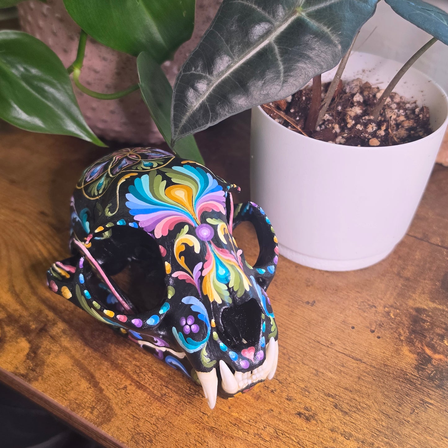 Bobcat Skull - Pastel