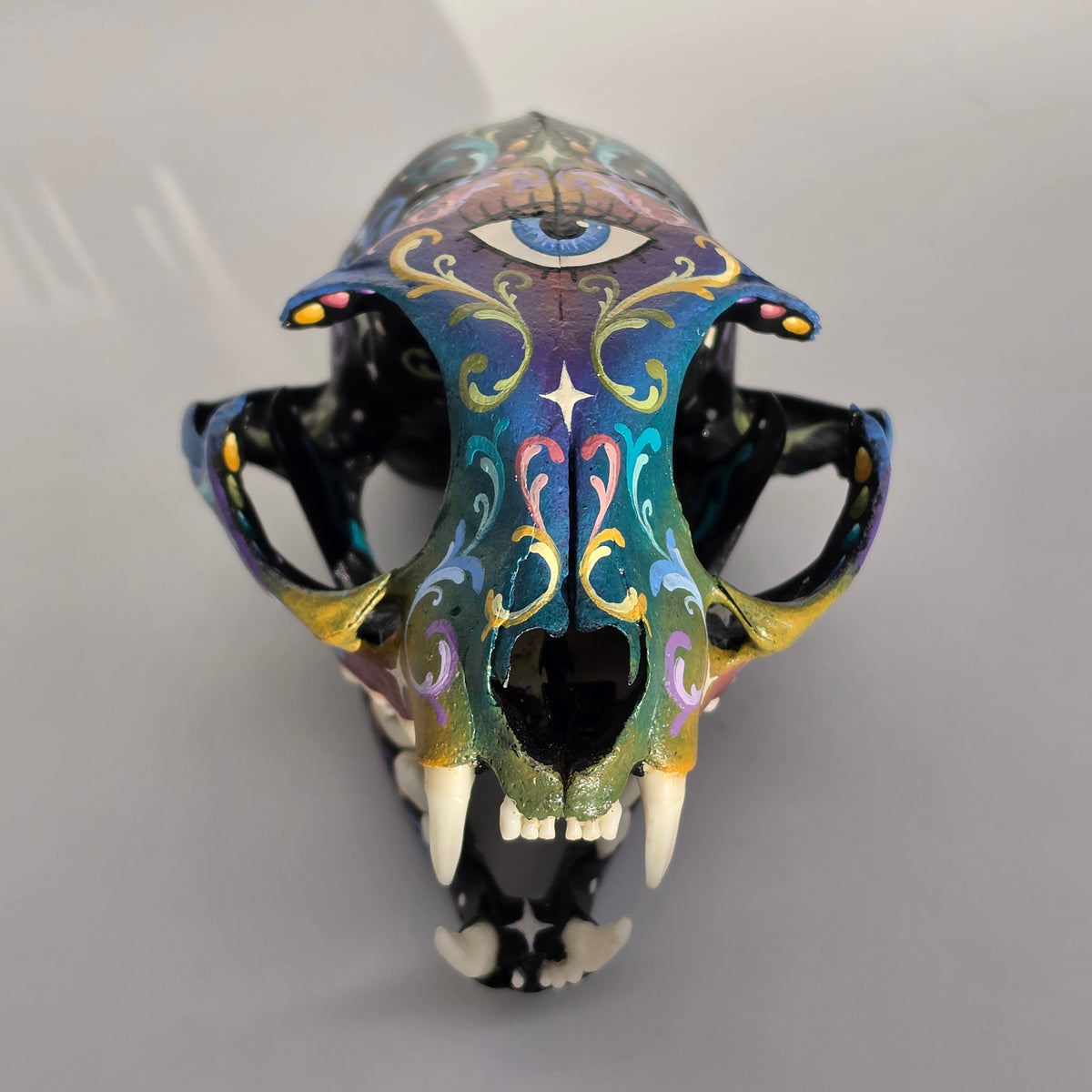 Cat Skull Third Eye