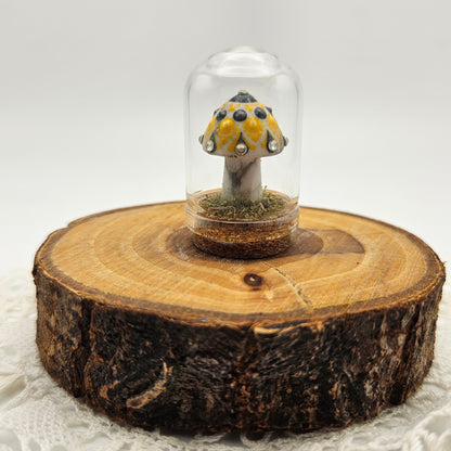 Mandala Mushroom Crystal Terrarium