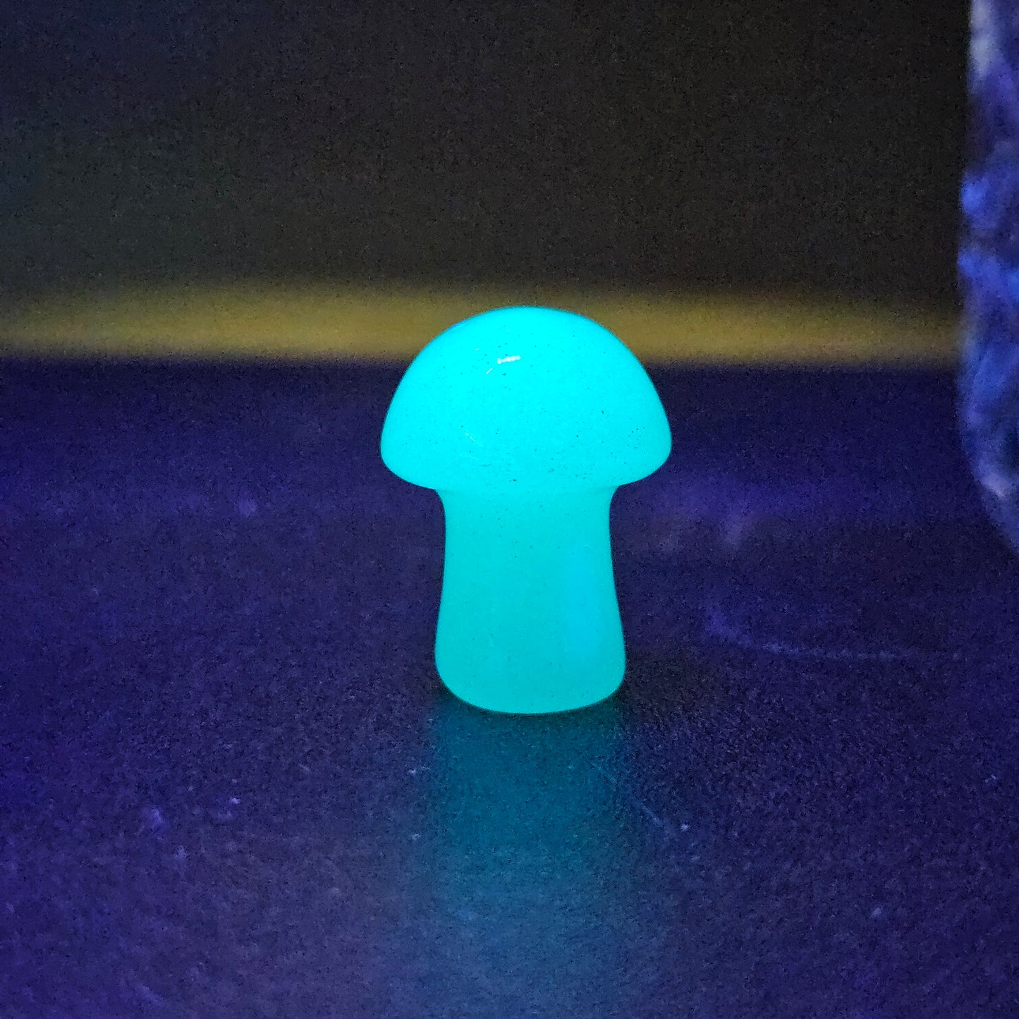 Mystery Mandala Mushroom