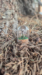 Miniture Mushroom Terrarium