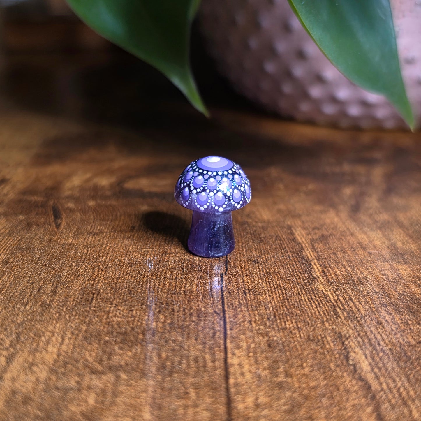 Mini Mandala Mushroom Collection