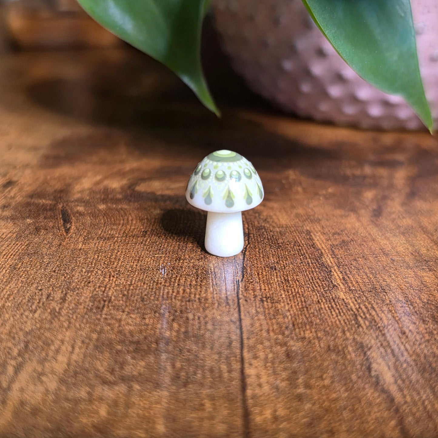 Mini Mandala Mushroom Collection