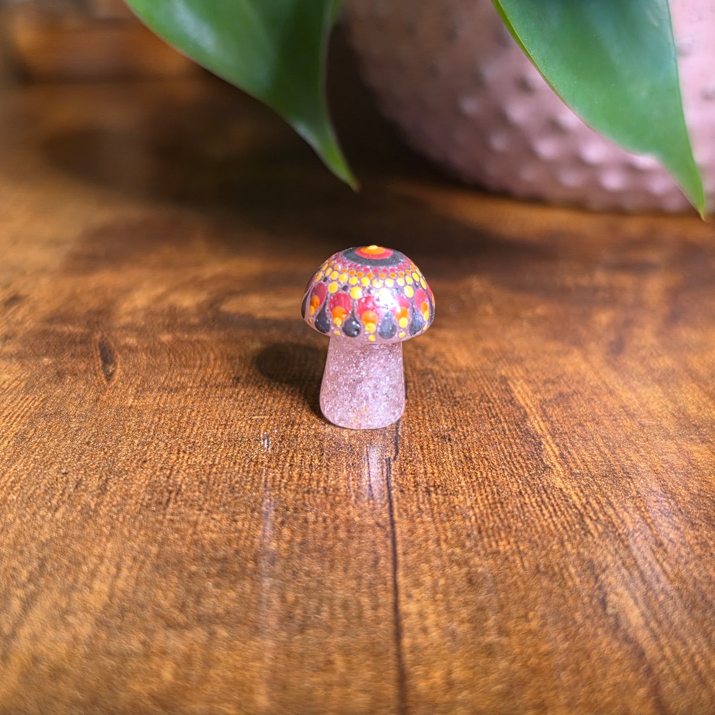 Mini Mandala Mushroom Collection