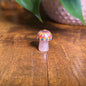 Mini Mandala Mushroom Collection