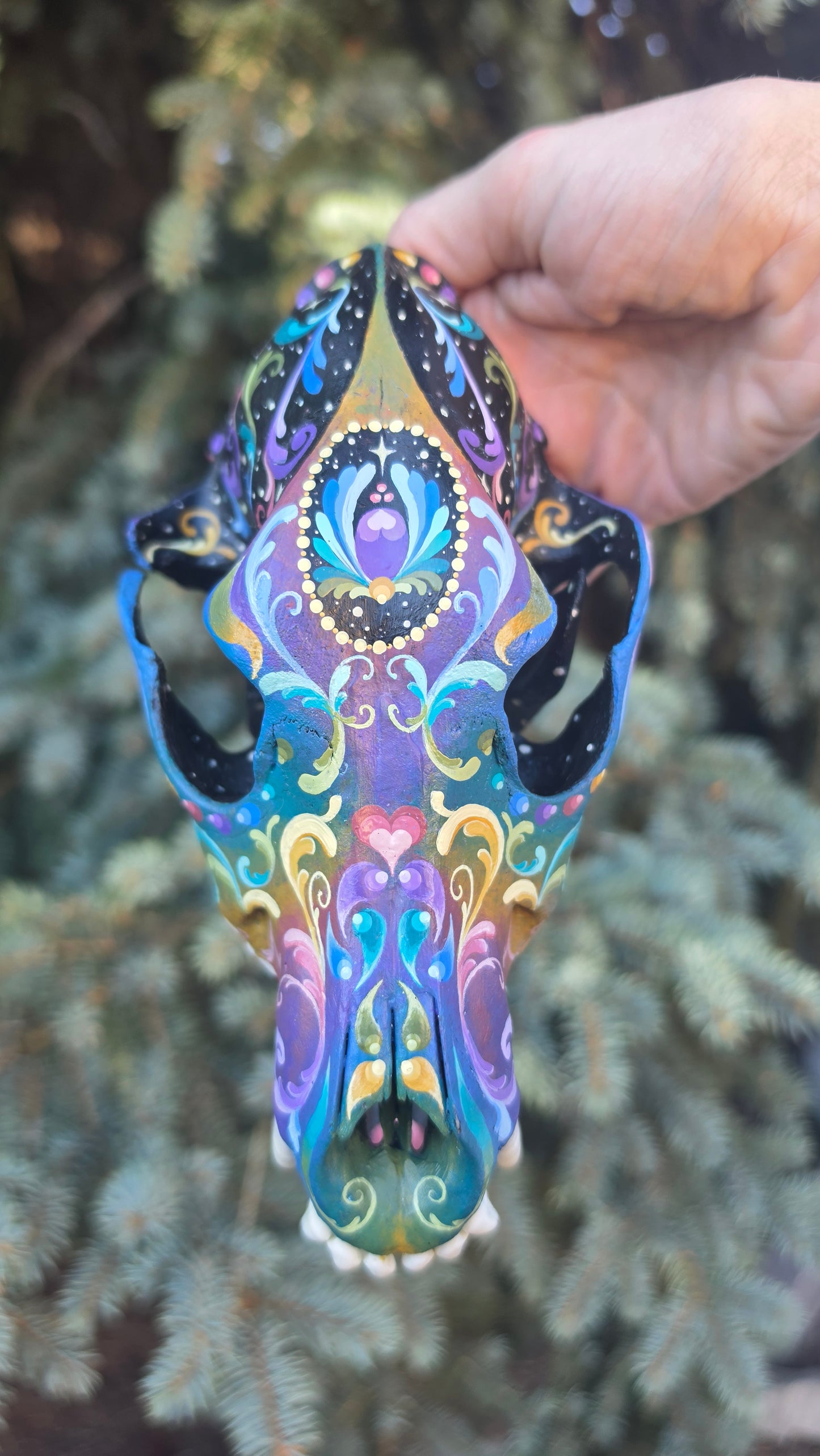 Coyote Skull - Pastel Galaxy