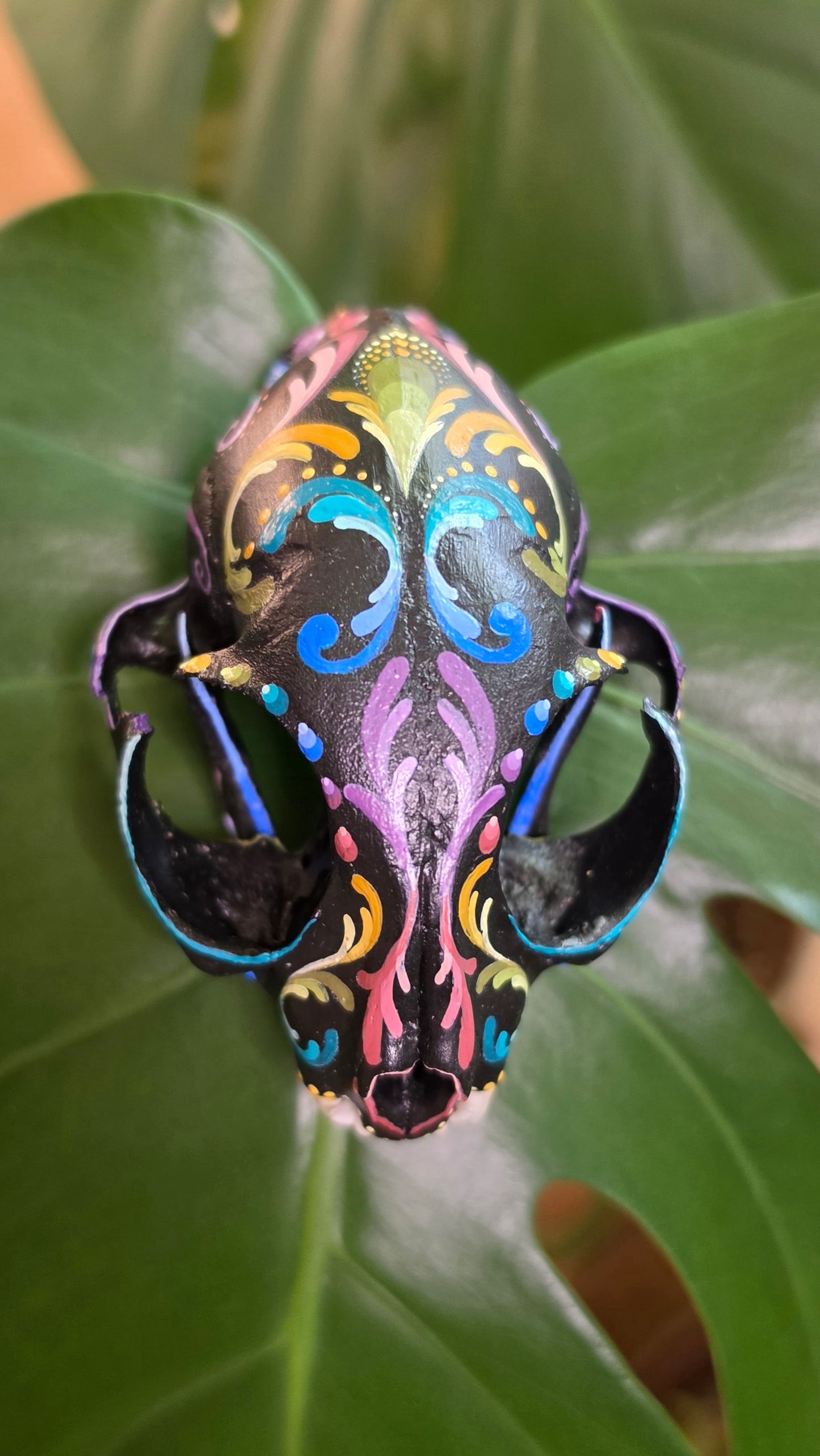 Cat Skull