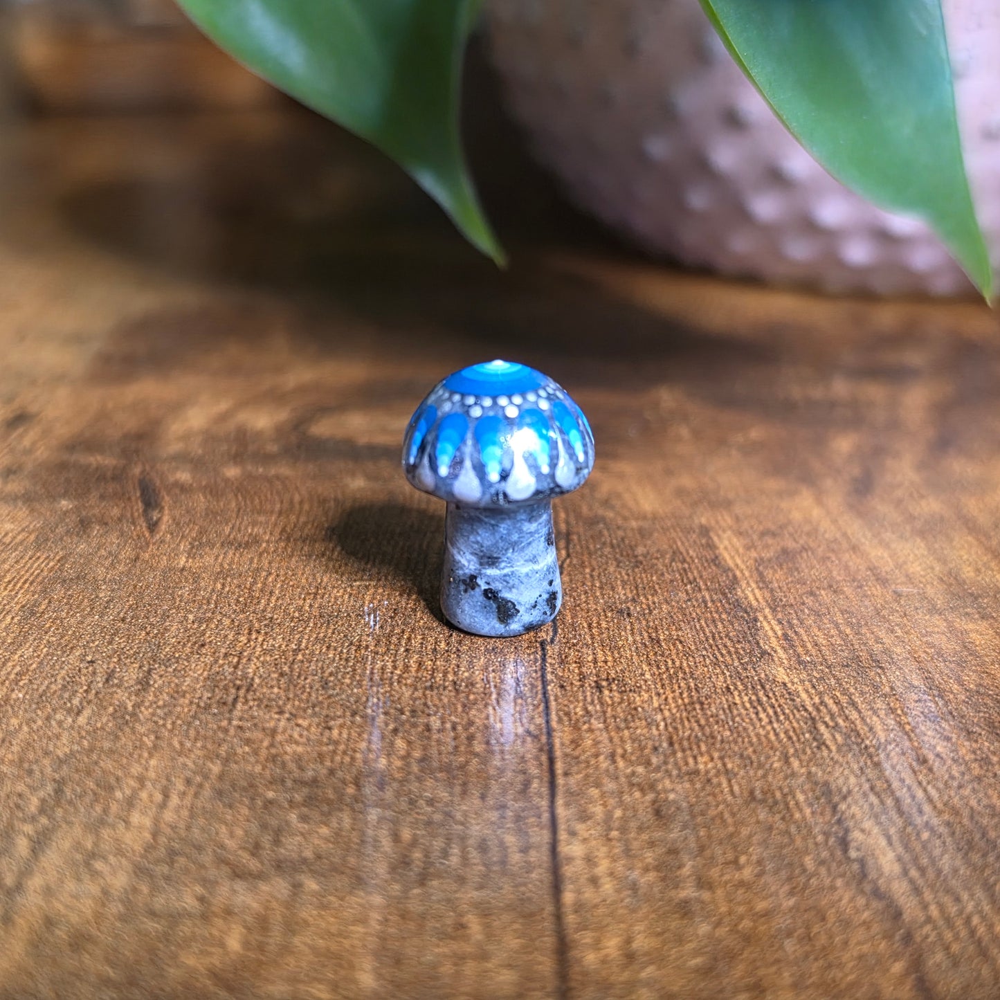 Mini Mandala Mushroom Collection