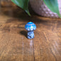 Mini Mandala Mushroom Collection