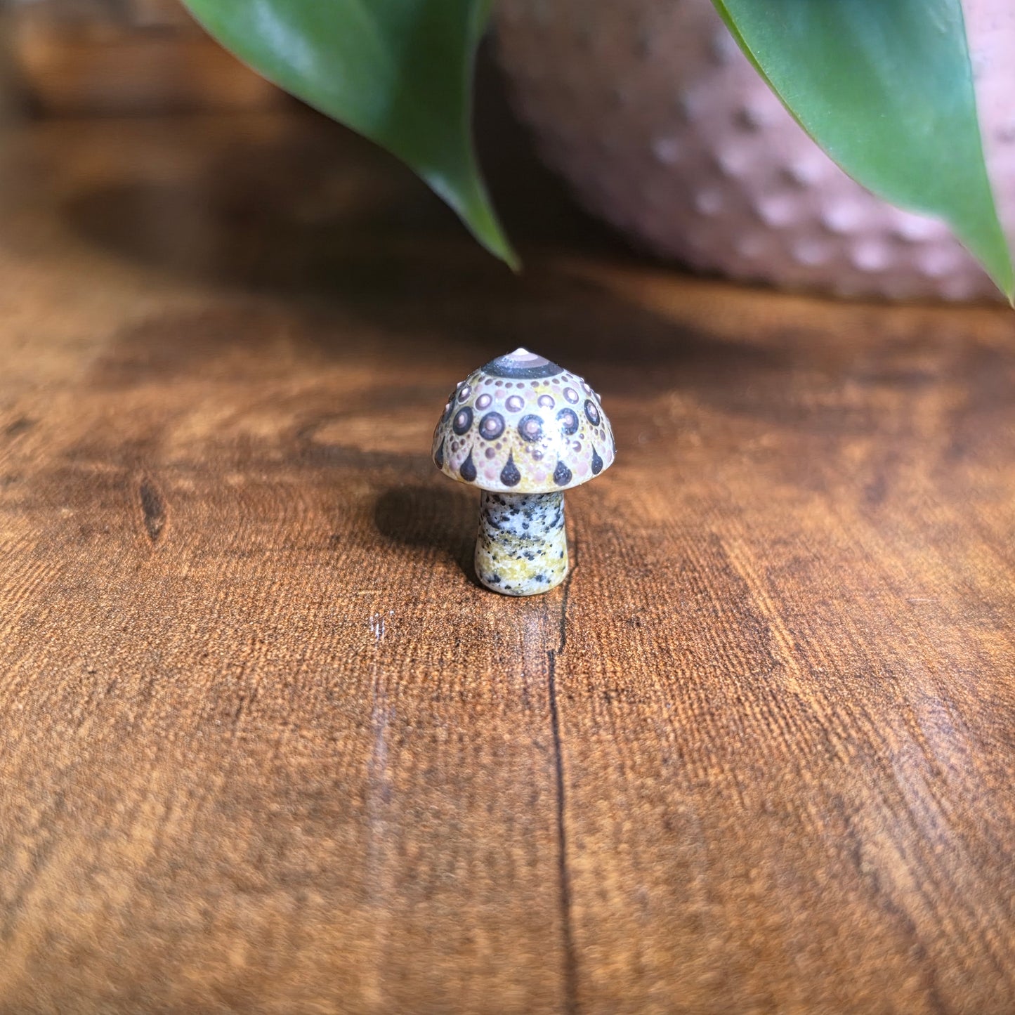 Mini Mandala Mushroom Collection