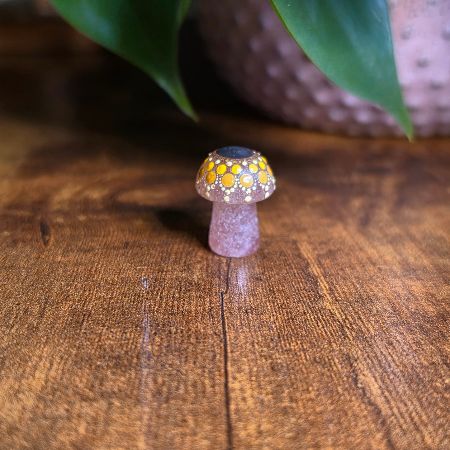 Mini Mandala Mushroom Collection
