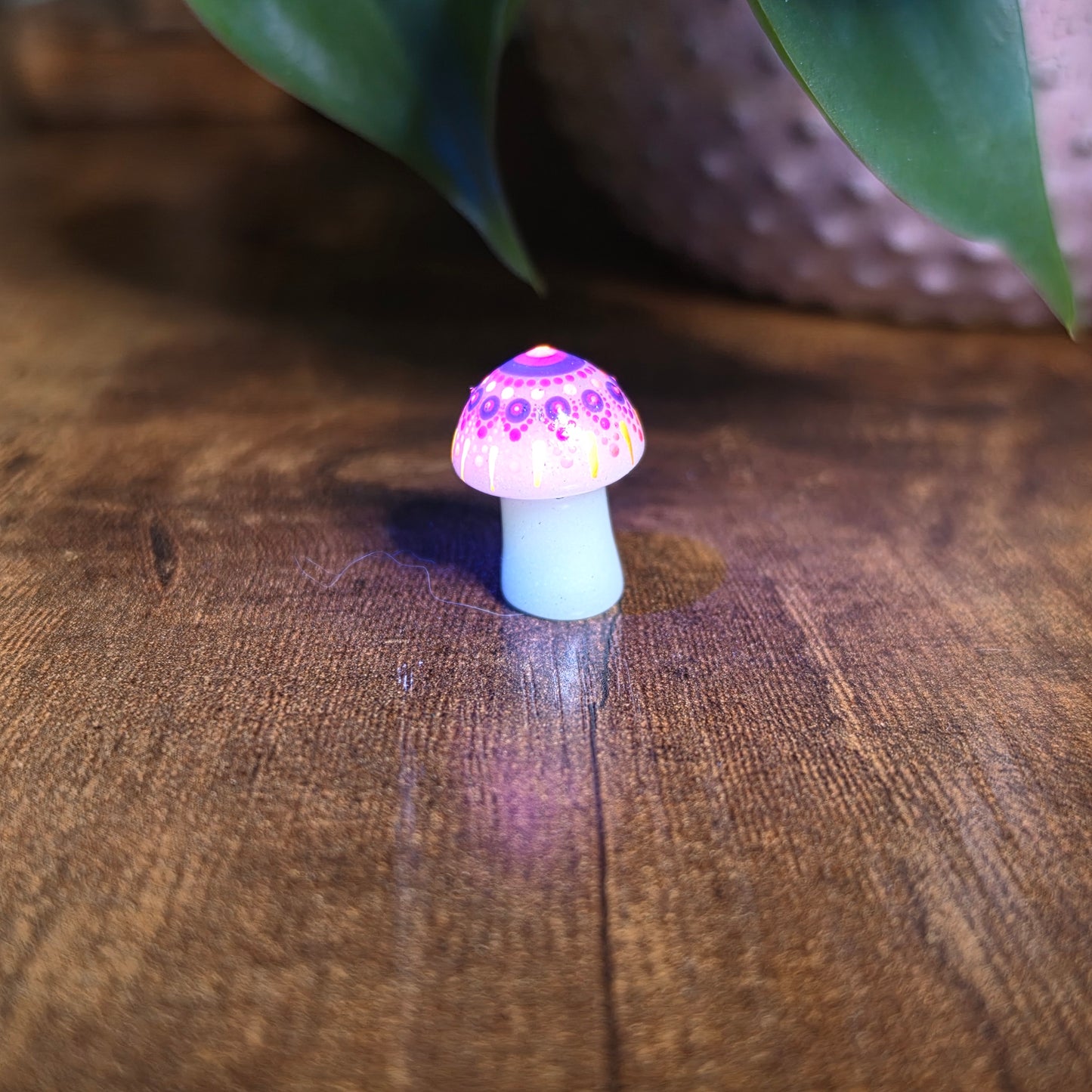 Mini Mandala Mushroom Collection