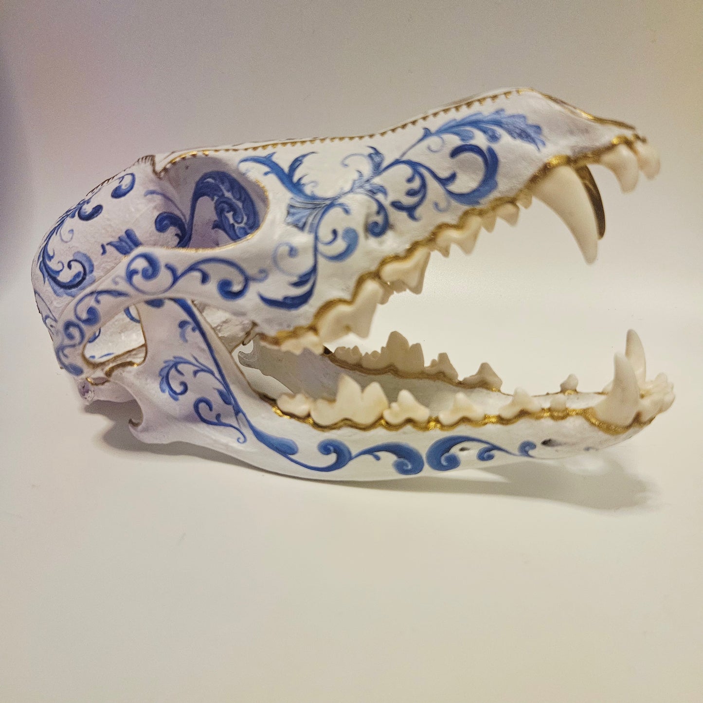 Fine China Coyote Skull