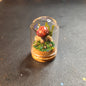 Miniture Mushroom Terrarium