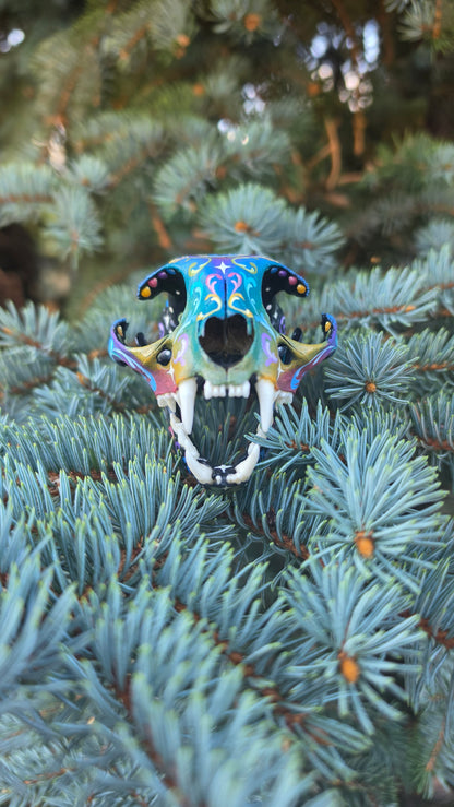 Cat Skull Third Eye