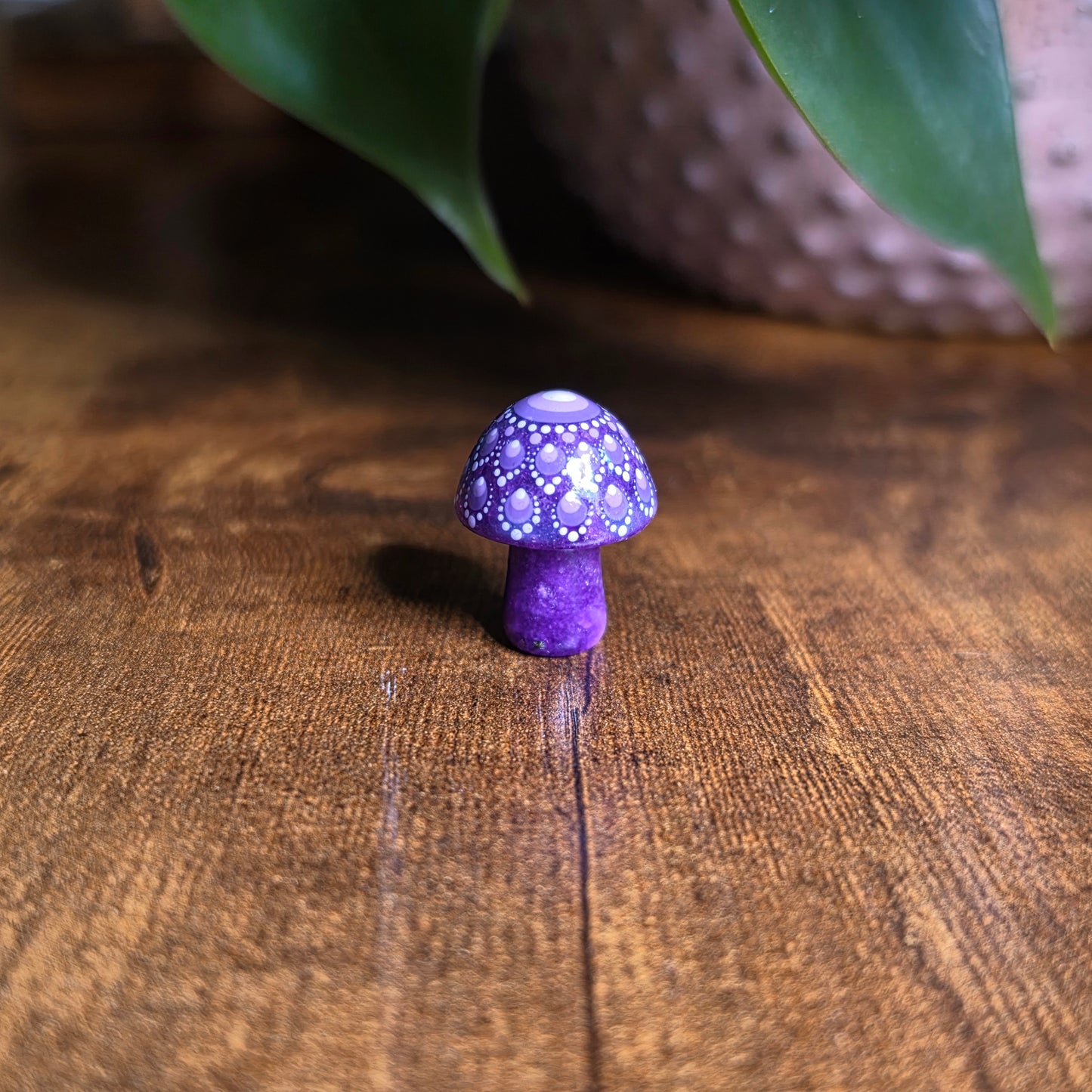 Mini Mandala Mushroom Collection