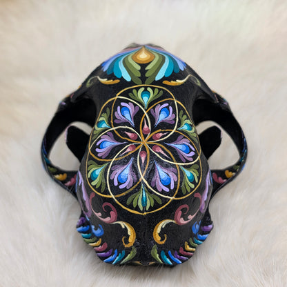 Bobcat Skull - Pastel