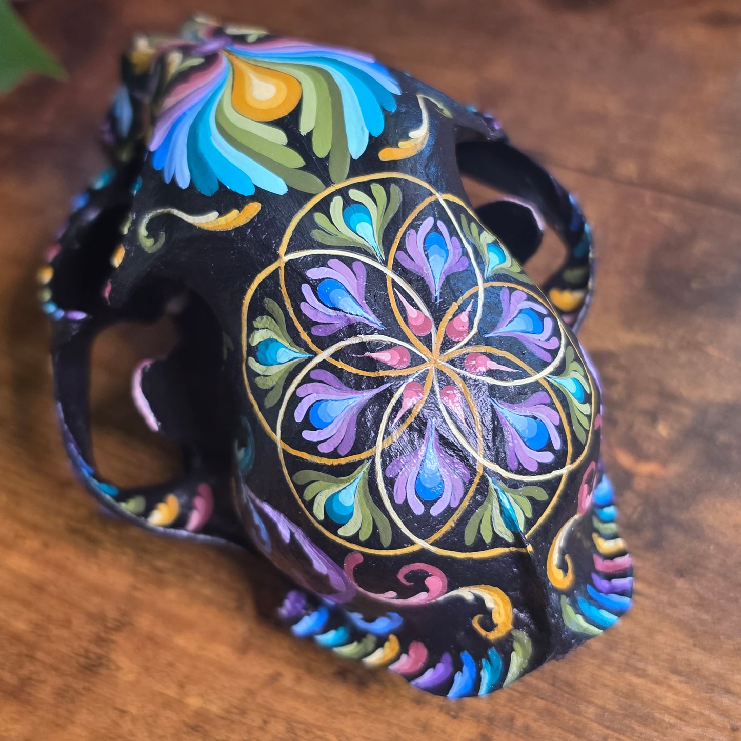 Bobcat Skull - Pastel