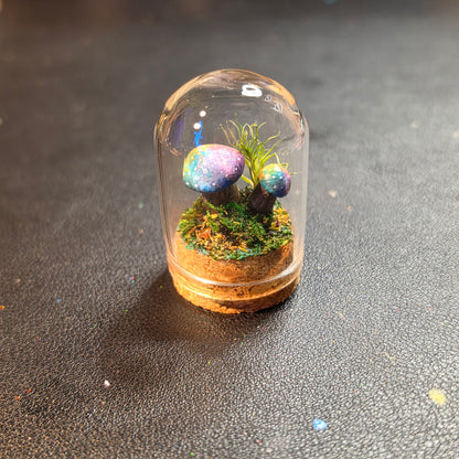 Miniture Mushroom Terrarium