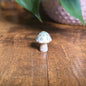Mini Mandala Mushroom Collection