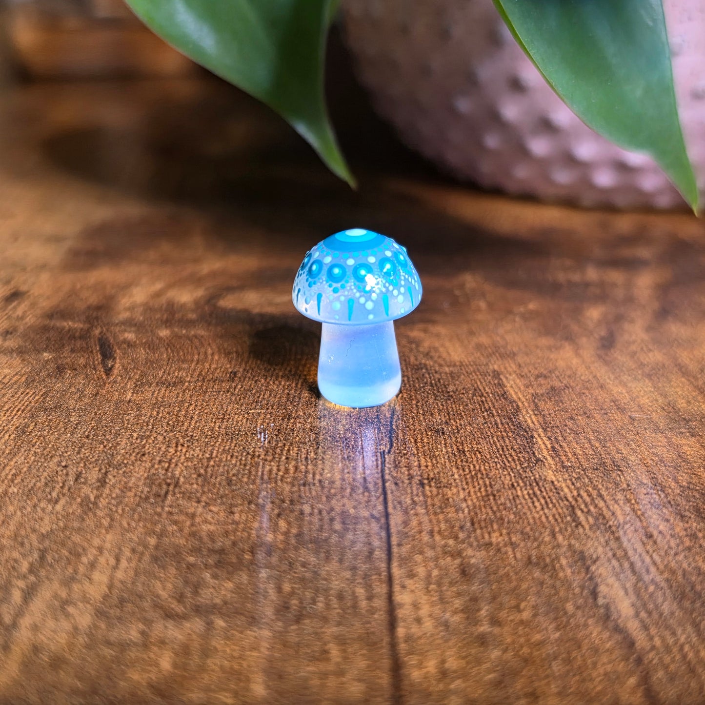 Mini Mandala Mushroom Collection