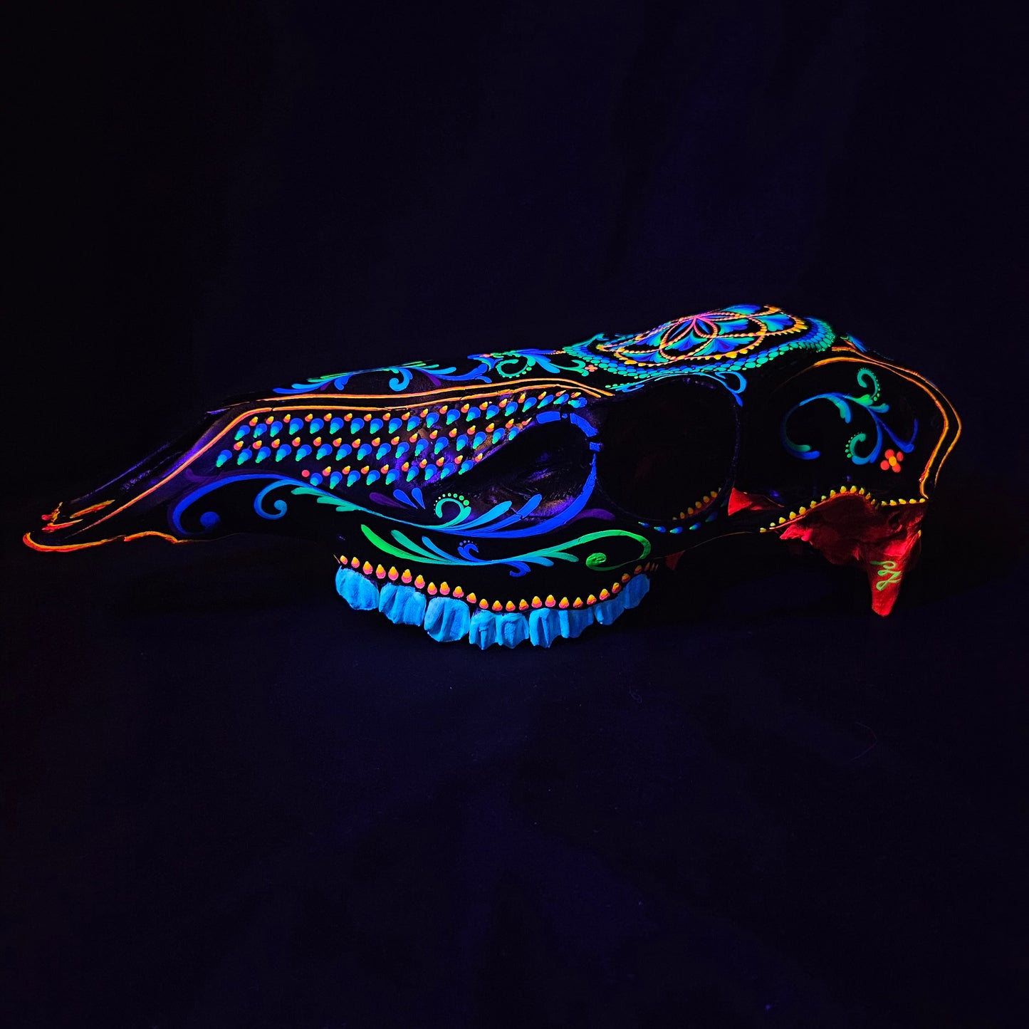 Crown of Creation - Elk Skull