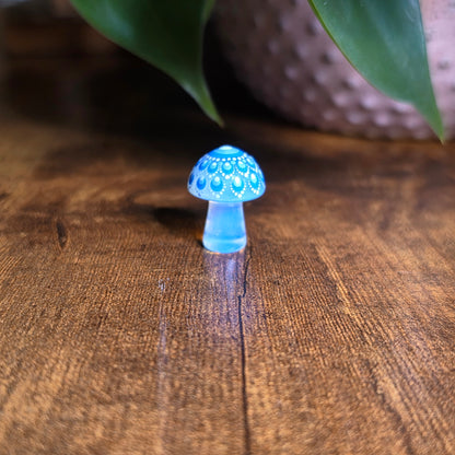 Mini Mandala Mushroom Collection