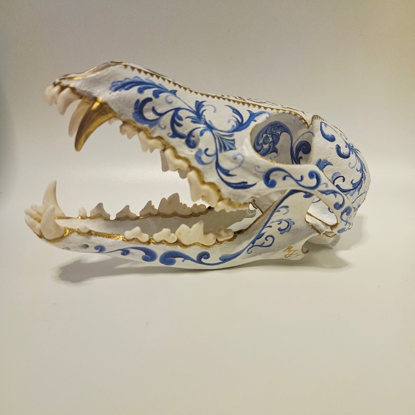 Fine China Coyote Skull