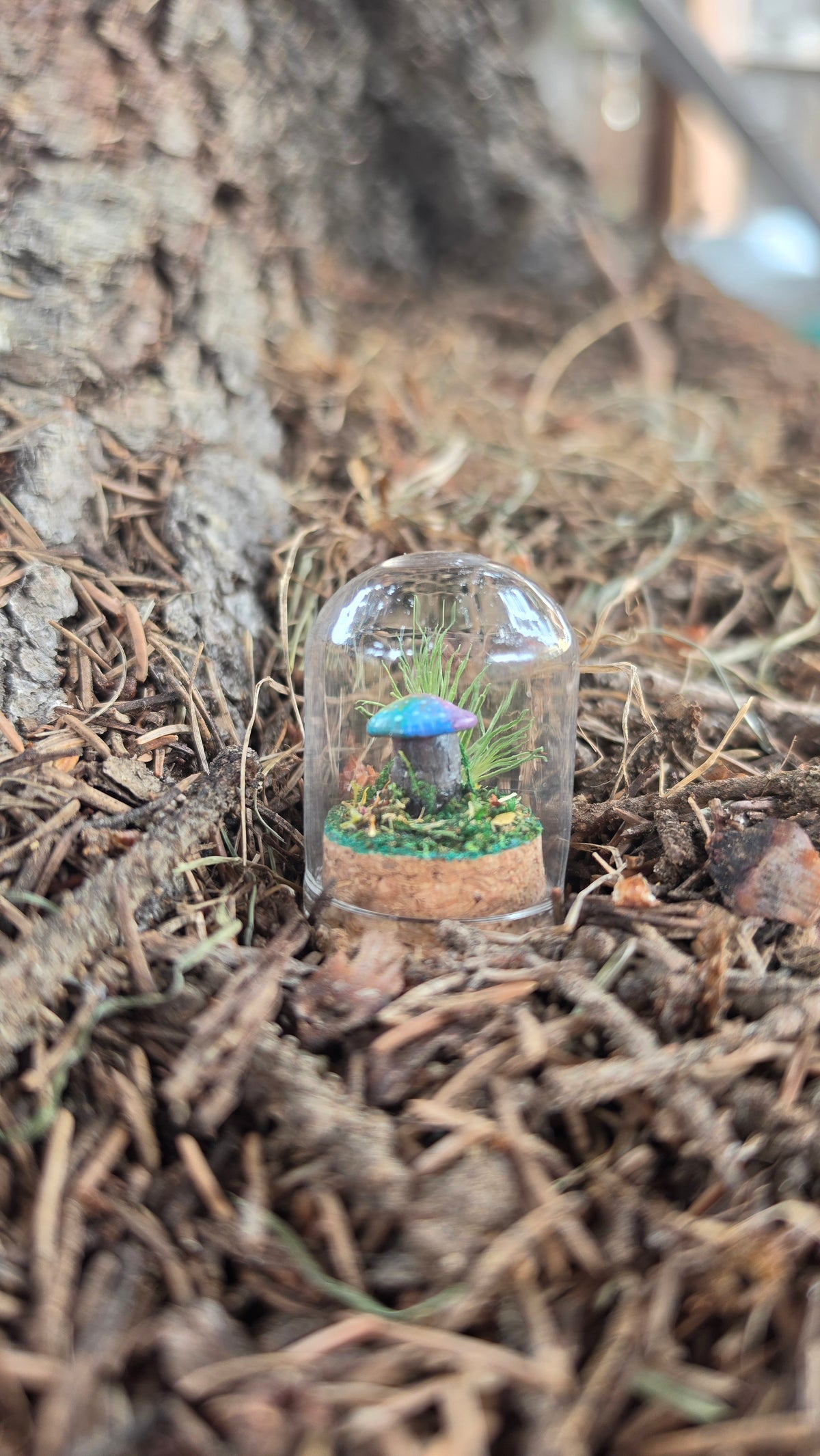 Miniture Mushroom Terrarium