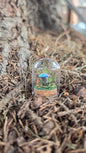 Miniture Mushroom Terrarium