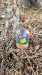 Miniture Mushroom Terrarium