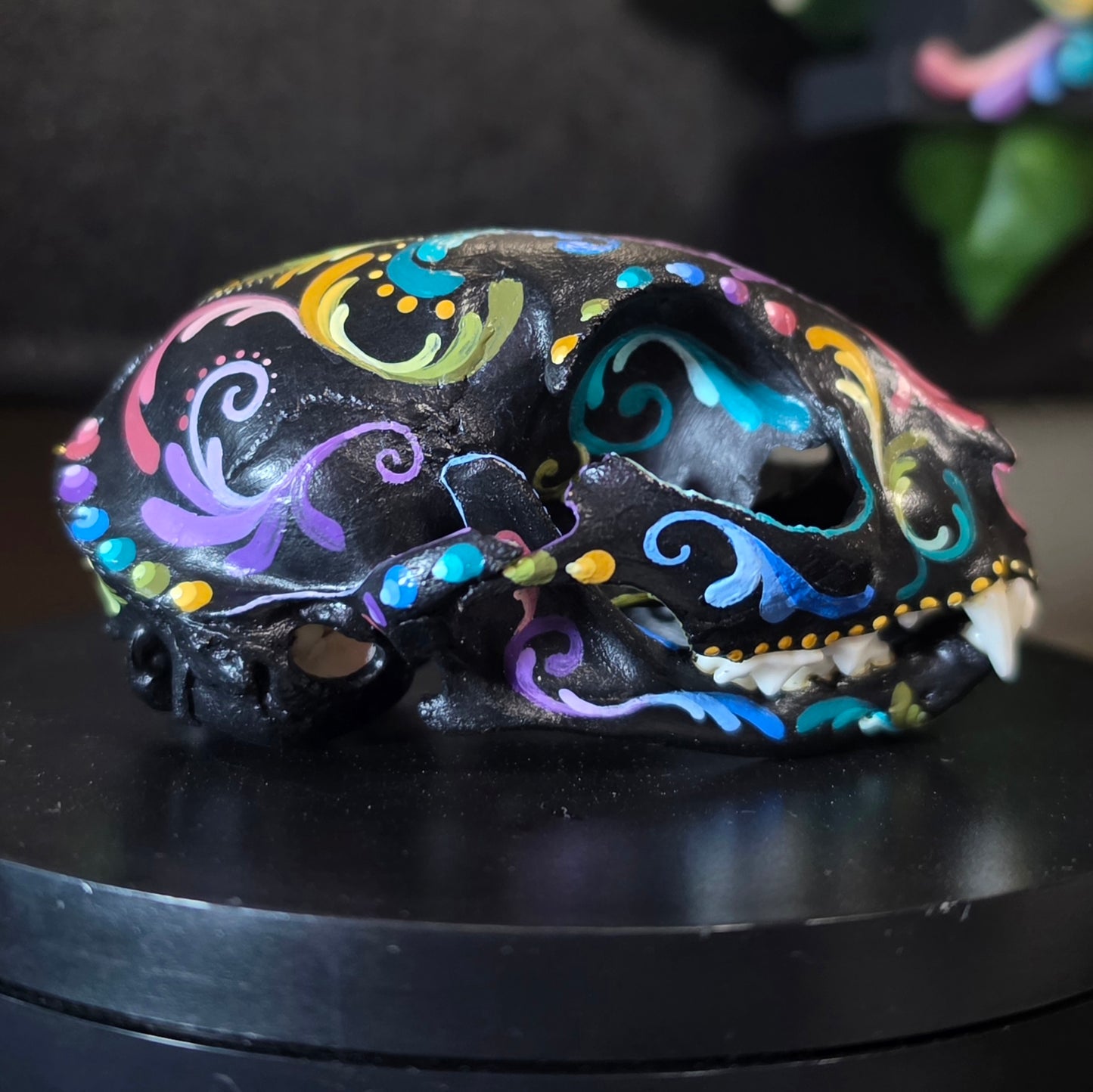 Cat Skull