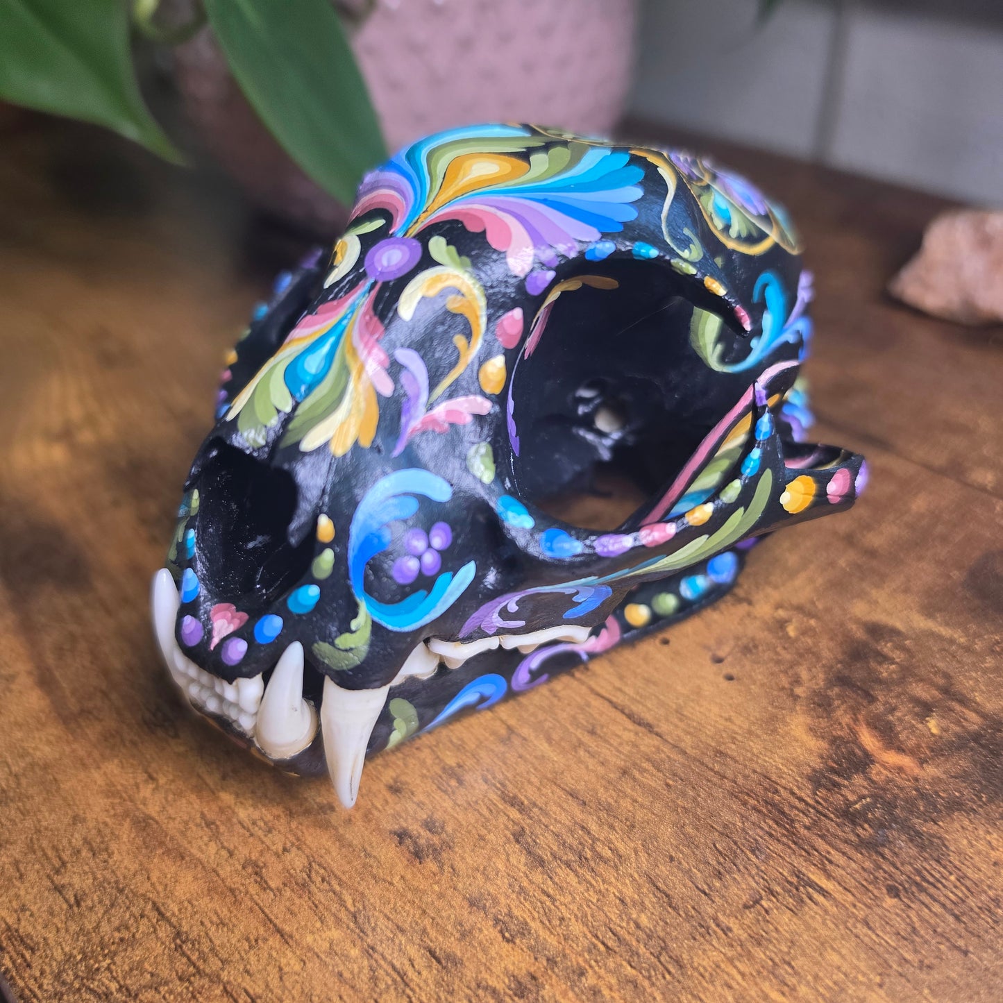 Bobcat Skull - Pastel