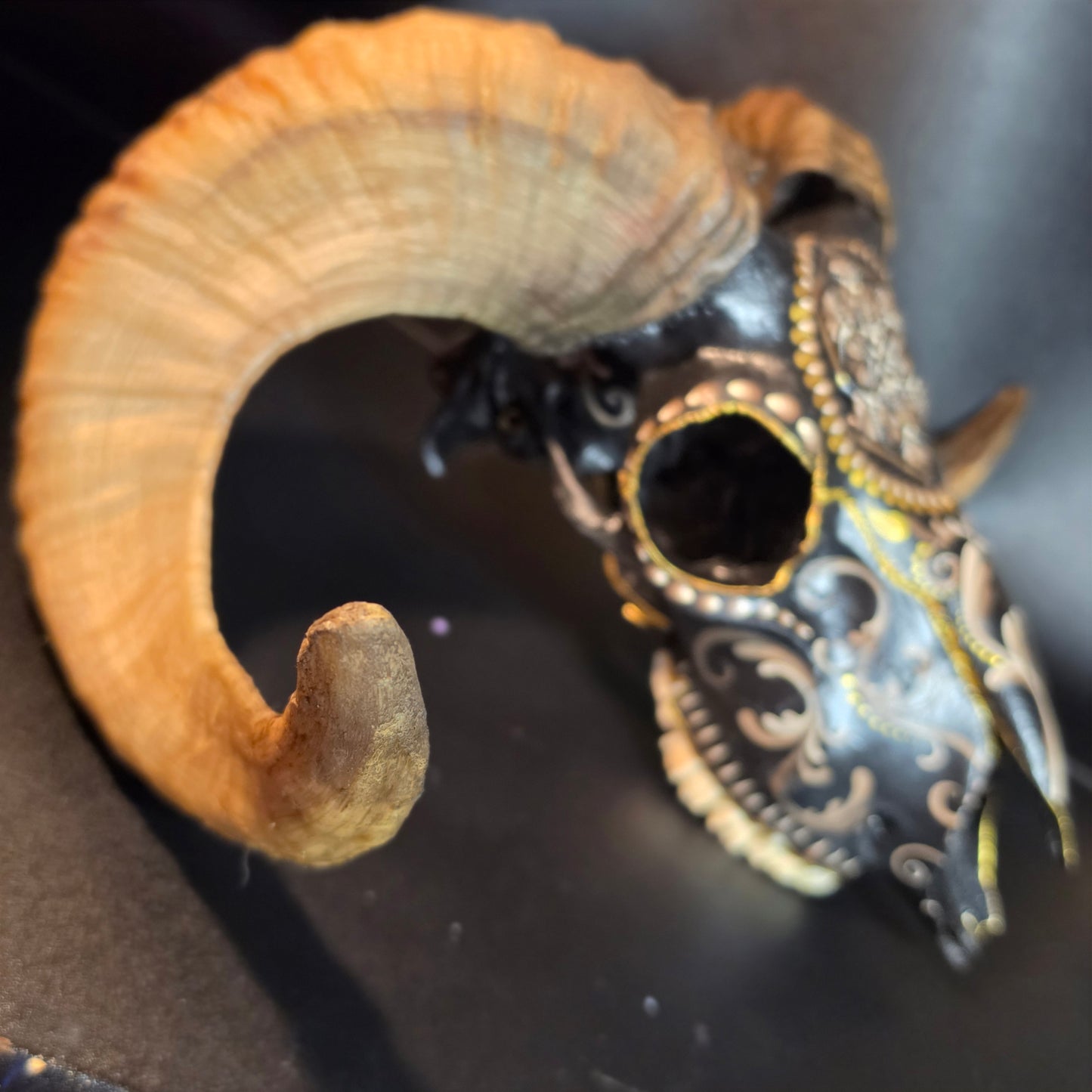 Ram Skull