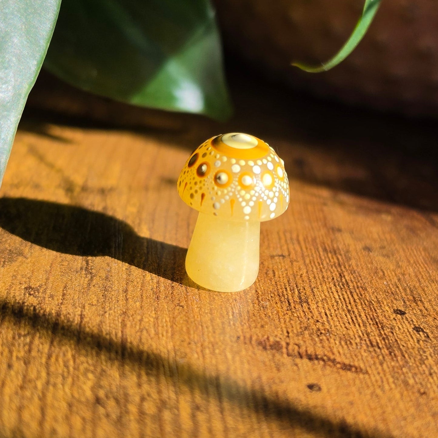 Mini Mandala Mushroom Collection