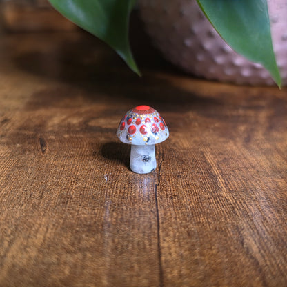 Mini Mandala Mushroom Collection