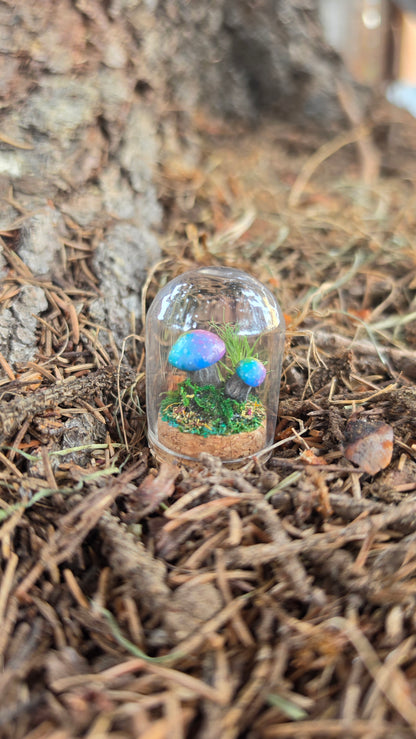Miniture Mushroom Terrarium
