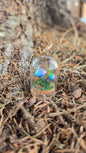 Miniture Mushroom Terrarium