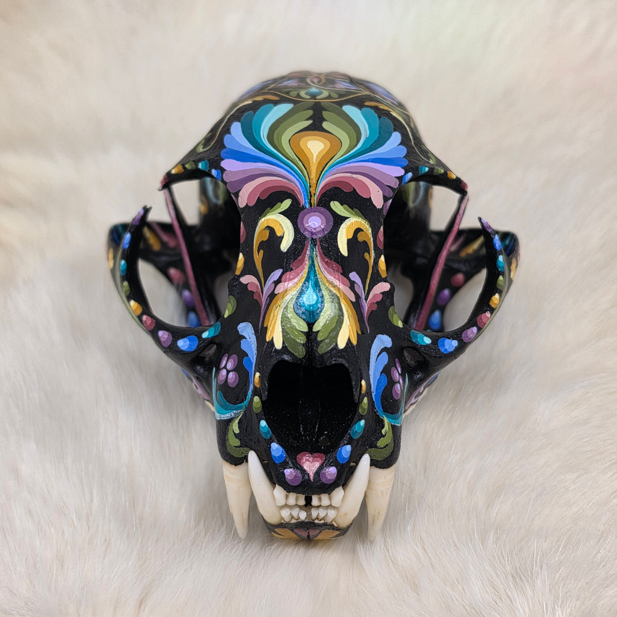Bobcat Skull - Pastel