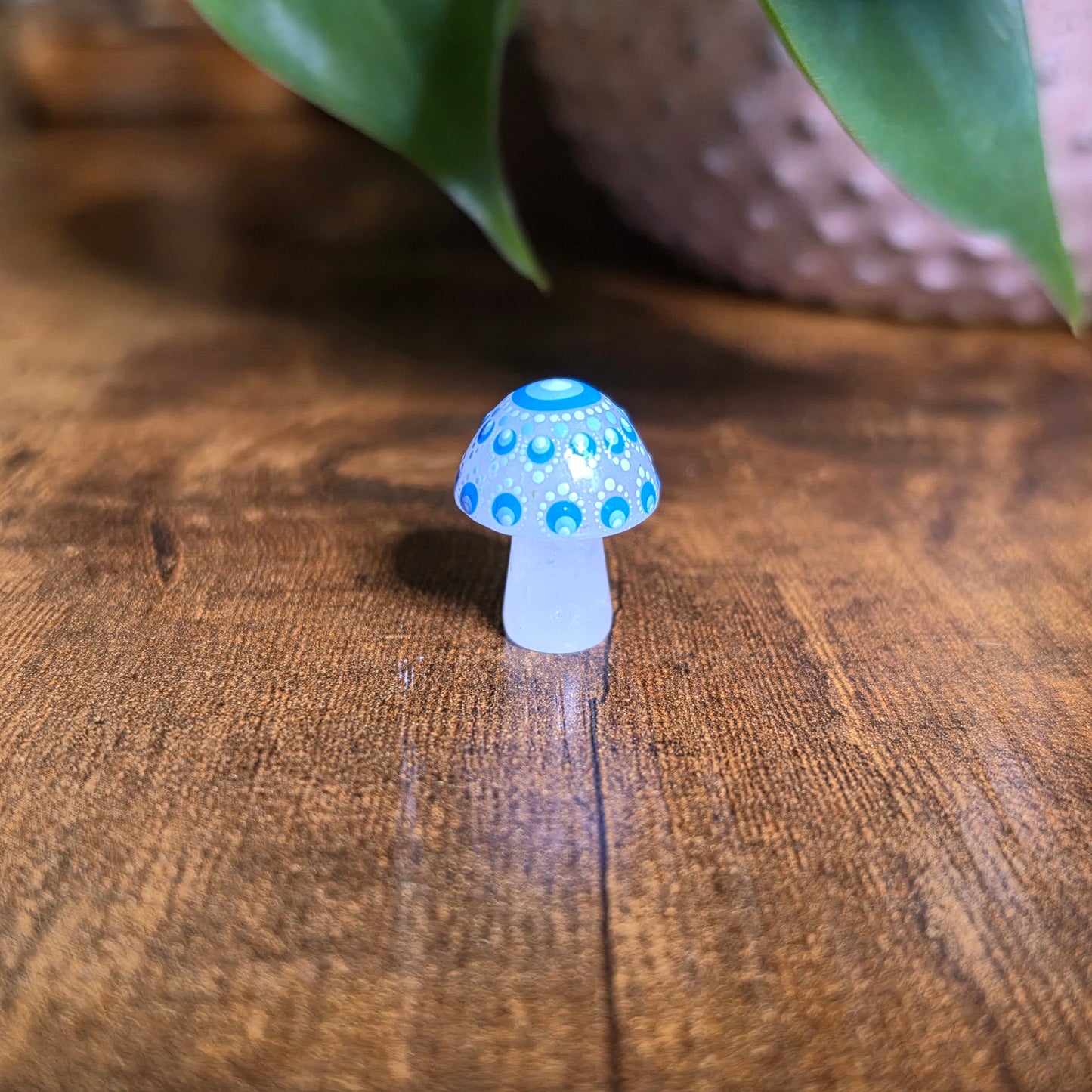 Mini Mandala Mushroom Collection