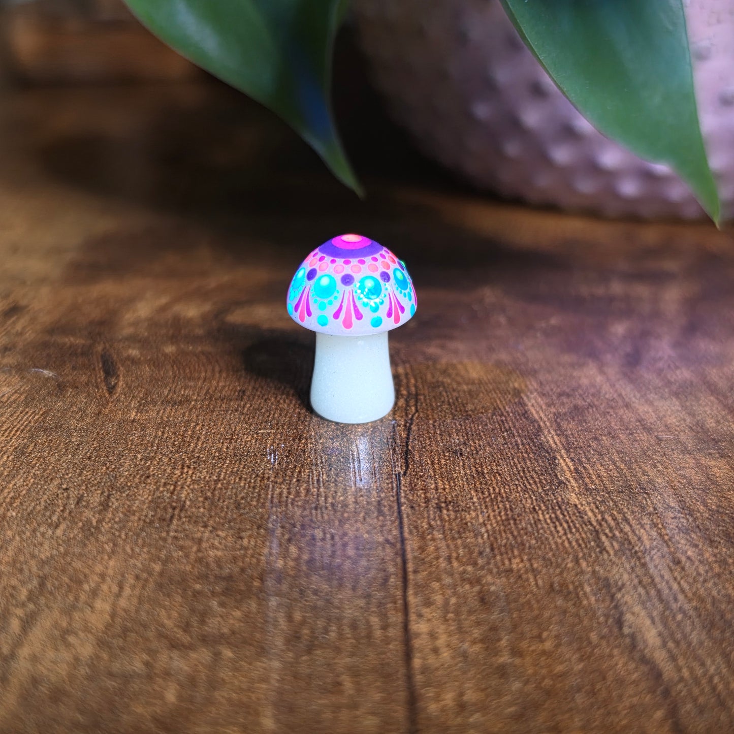 Mini Mandala Mushroom Collection