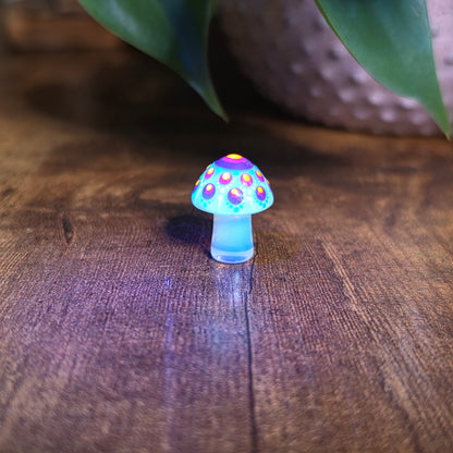 Mini Mandala Mushroom Collection