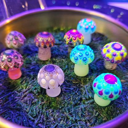 Mystery Mandala Mushroom