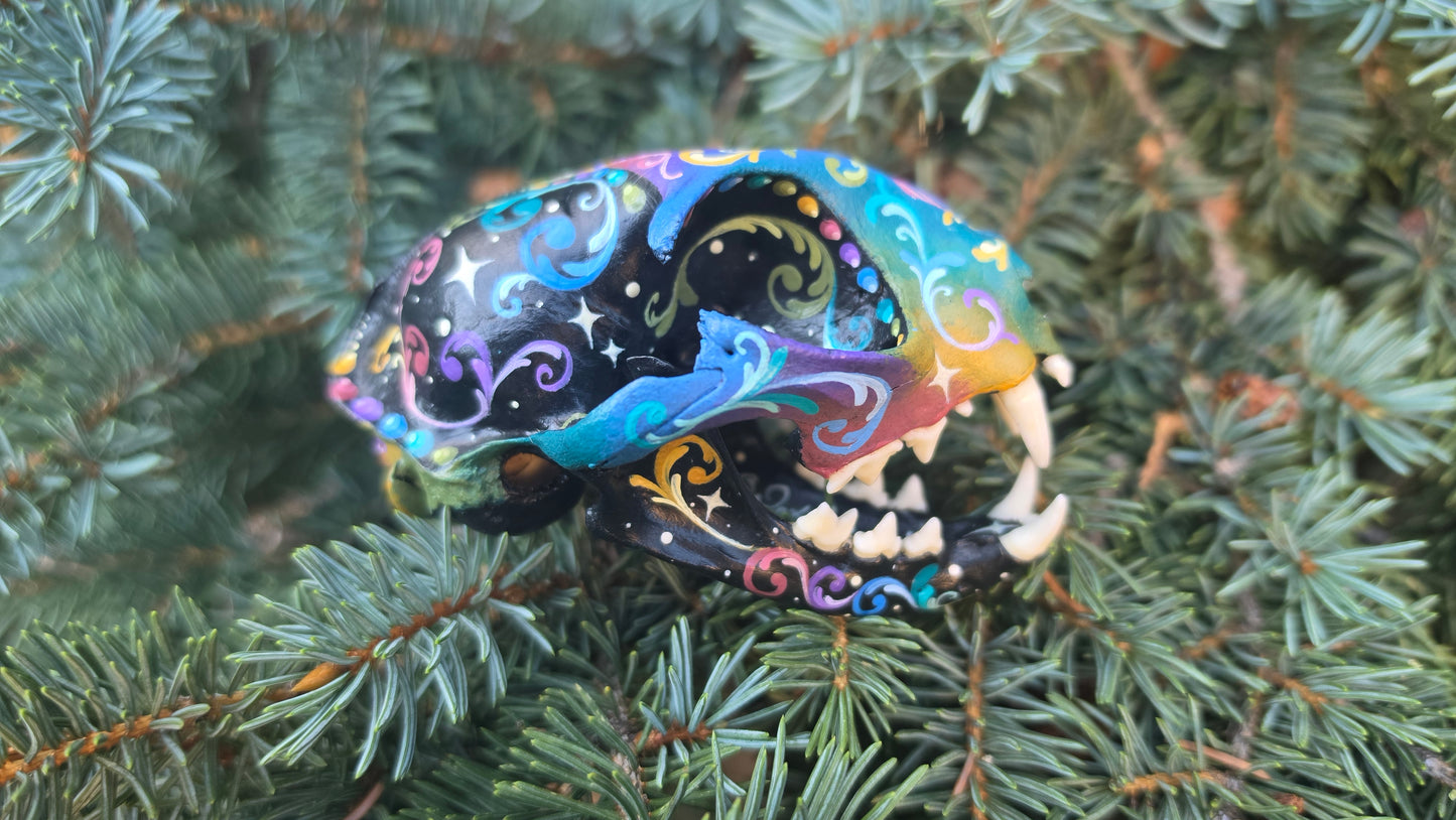 Cat Skull Third Eye