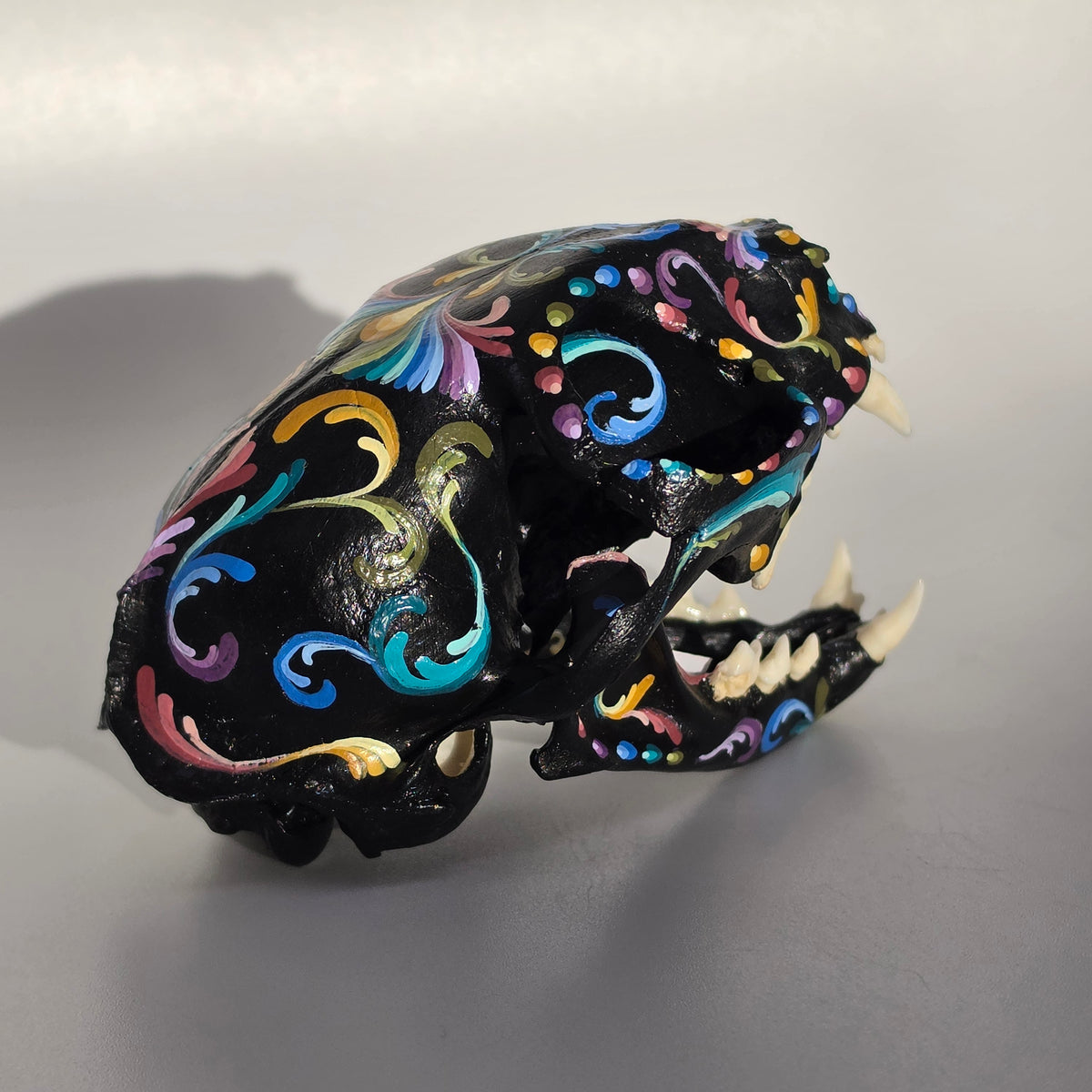 Cat Skull