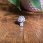 Mini Mandala Mushroom Collection