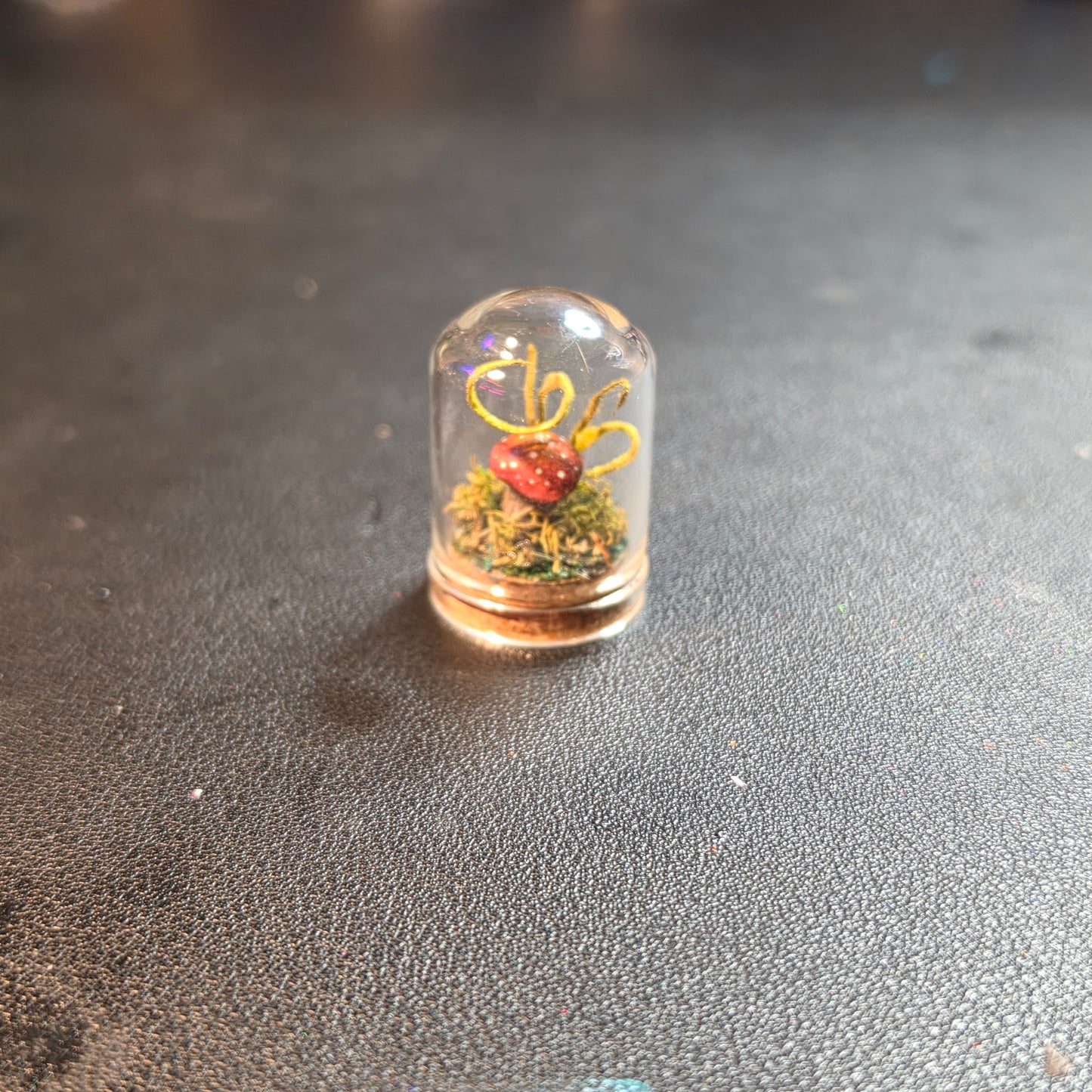 Miniture Mushroom Terrarium