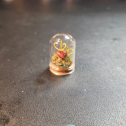 Miniture Mushroom Terrarium