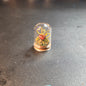 Miniture Mushroom Terrarium