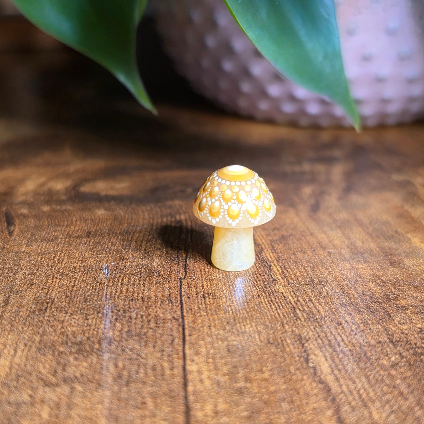Mini Mandala Mushroom Collection